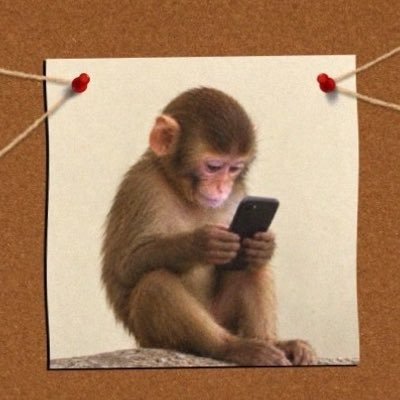 Pinned photo of an ape using a phone